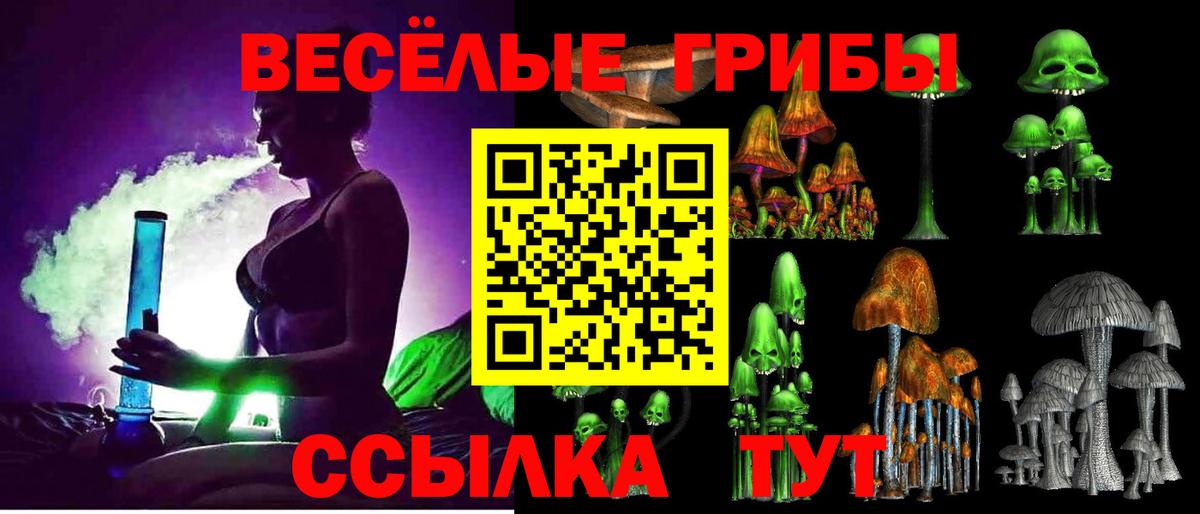 Галлюциногенные грибы ЛСД Магадан