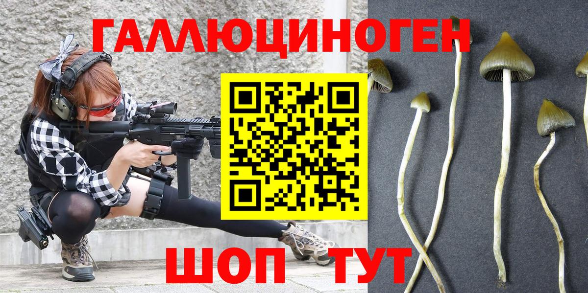 Псилоцибиновые грибы Magic Shrooms  Вход с VPN  Псилоцибиновые грибы Psilocybine cubensis  Магадан 